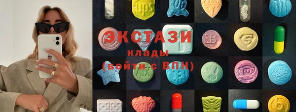 индика Моршанск