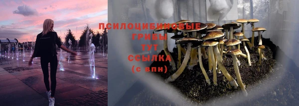 прущие крисы Валуйки