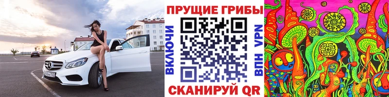 где купить наркоту  Калязин  Галлюциногенные грибы MAGIC MUSHROOMS 